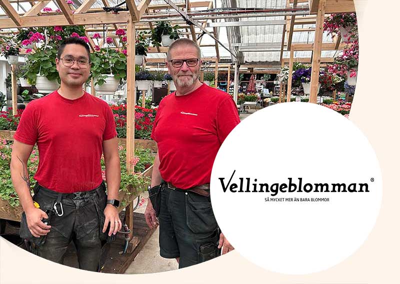 Vellingeblommanx